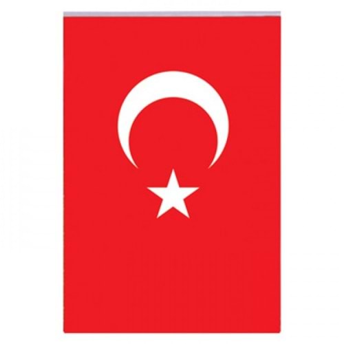 Türk Bayrağı 30cm x 45cm Vatan